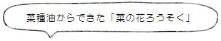 菜種油からできた「菜の花ろうそく」<高澤ろうそく店>
