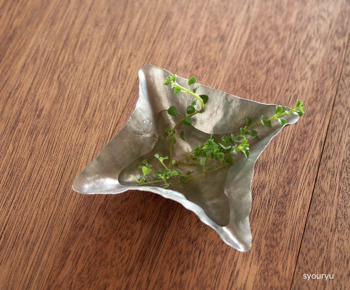 すずがみ 24cm × 植物 ＜syouryu＞ ｜ 暮らしのほとり舎
