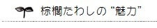 棕櫚たわしの“魅力”