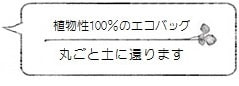 植物性100%のエコバッグ 丸ごと土に還ります (PLECO タテプリーツ) <kna plus> | 暮らしのほとり舎