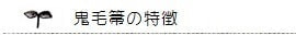鬼毛箒の特徴