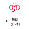 梅鶴（白梅）
