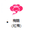 梅鶴（紅梅）