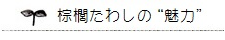 棕櫚たわしの“魅力”