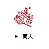 南天（ナンテン）