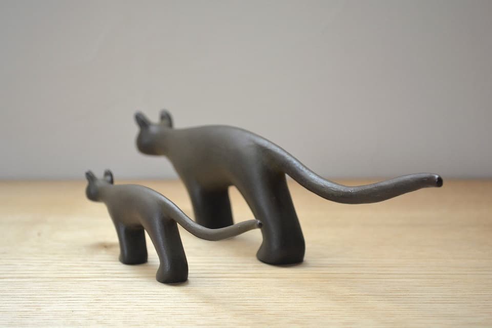 【後ろ姿】茶味(Chammy)小・中