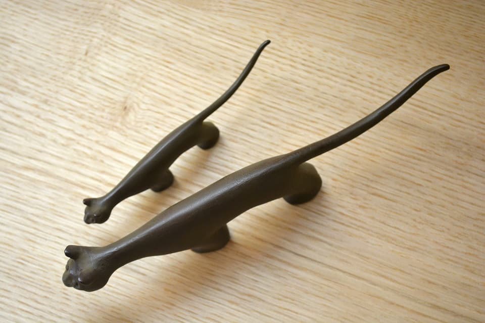 【背中・尻尾】茶味(Chammy)小・中