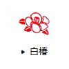 赤椿