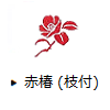 赤椿