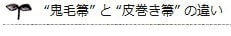 鬼毛箒と皮巻き箒の違い