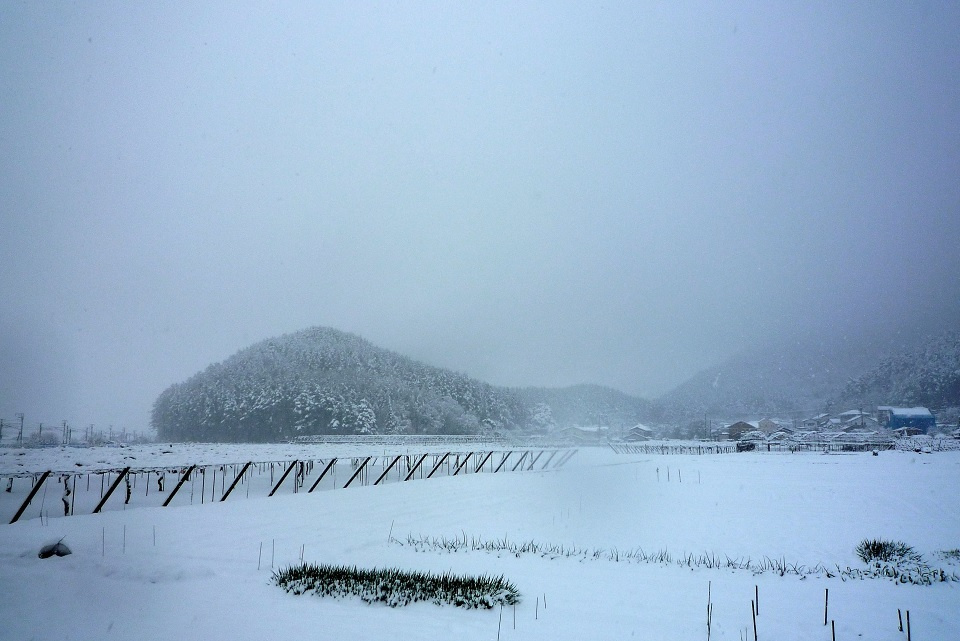 雪曇りの空に覆われた冬のぶどう畑 (閉塞成冬・そらさむくふゆとなる) 第61候｜暮らしのほとり舎