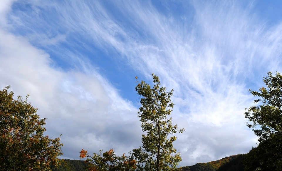 薄く水平に流れる雲が特徴の秋の空 (雷乃収声・かみなりすなわちこえをおさむ) 第46候｜暮らしのほとり舎