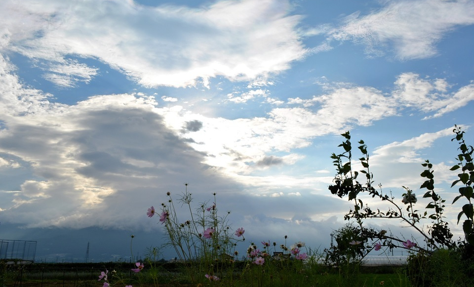 秋の気配漂う晩夏の空 (天地始粛・てんちはじめてさむし) 第41候｜暮らしのほとり舎