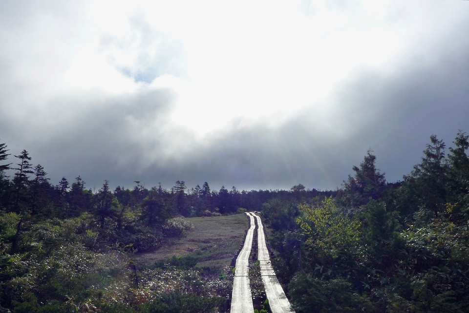 雨が降り出しそうな天候の中を歩く木道の道 (雷乃発声・かみなりすなわちこえをはっす) 第12候|暮らしのほとり舎