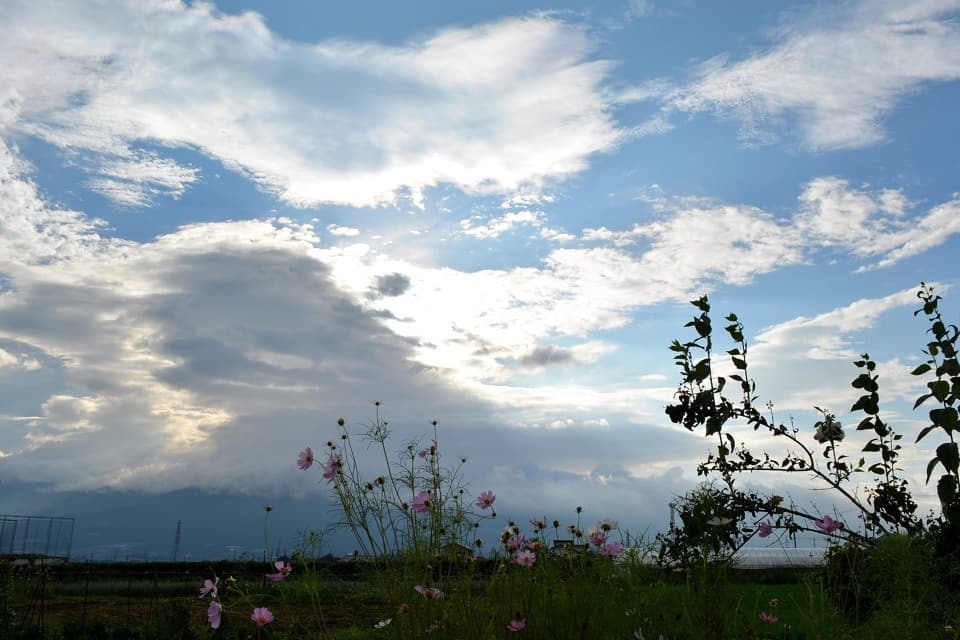 七十二候｜第四十一候「天地始粛」のブログ記事へ