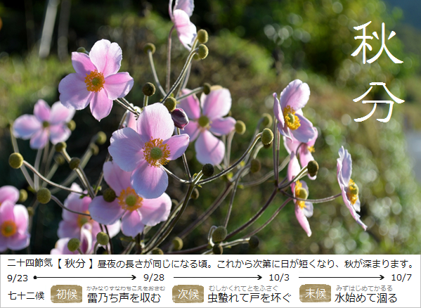 暮らしのほとり舎Blog｜現在の二十四節気と七十二候