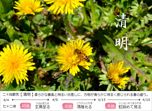 暮らしのほとり舎Blog｜現在の二十四節気と七十二候