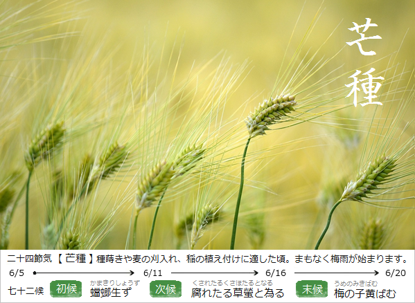 暮らしのほとり舎Blog｜現在の二十四節気と七十二候