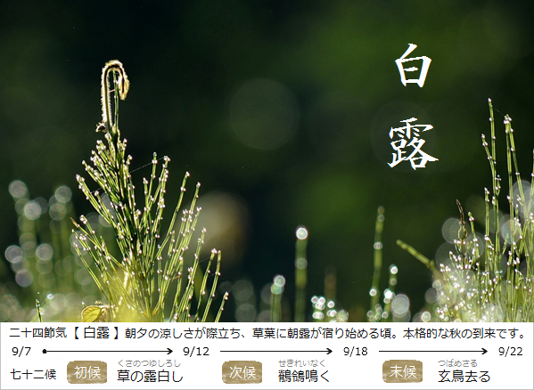暮らしのほとり舎Blog｜現在の二十四節気と七十二候