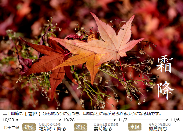 暮らしのほとり舎Blog｜現在の二十四節気と七十二候