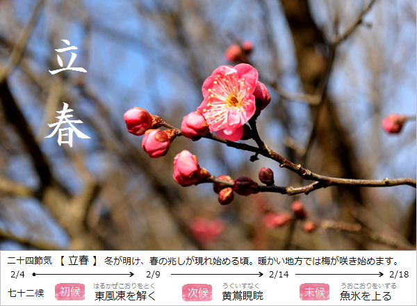 暮らしのほとり舎Blog｜現在の二十四節気と七十二候