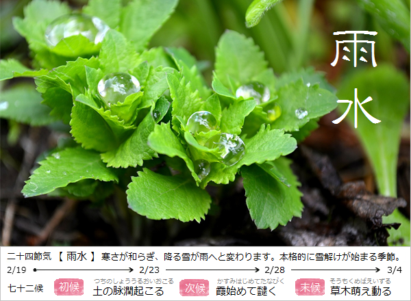 暮らしのほとり舎Blog｜現在の二十四節気と七十二候