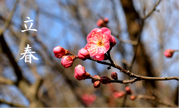 二十四節気 立春 りっしゅん 2 4 2 18頃 二十四節気 立春 りっしゅん 2 4 2 18頃