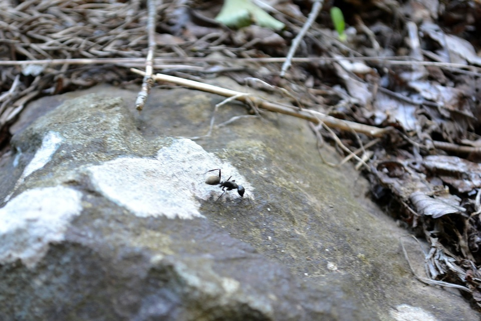 第七候「蟄虫啓戸」｜ 暮らしのほとり舎