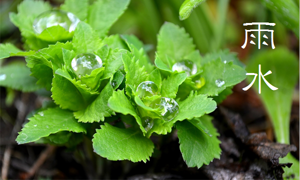 二十四節気「雨水」のブログ記事へ