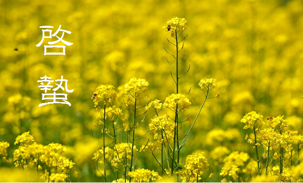 二十四節気「啓蟄」のブログ記事へ