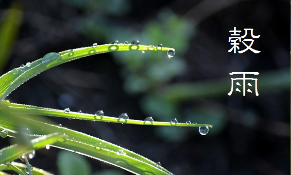 穀雨 (こくう) | 暮らしのほとり舎