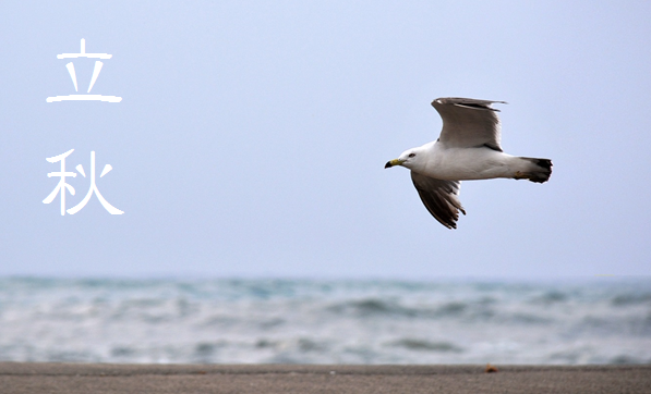 「立秋 (りっしゅう)」 8/7~8/22頃 | 暮らしのほとり舎
