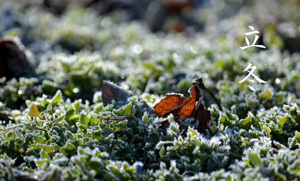 「立冬 (りっとう)」 11/7~11/21頃 | 暮らしのほとり舎