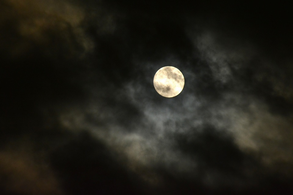 中秋の名月 (十五夜)|暮らしのほとり舎