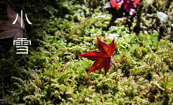 二十四節気「小雪（しょうせつ）」11/22～12/6頃