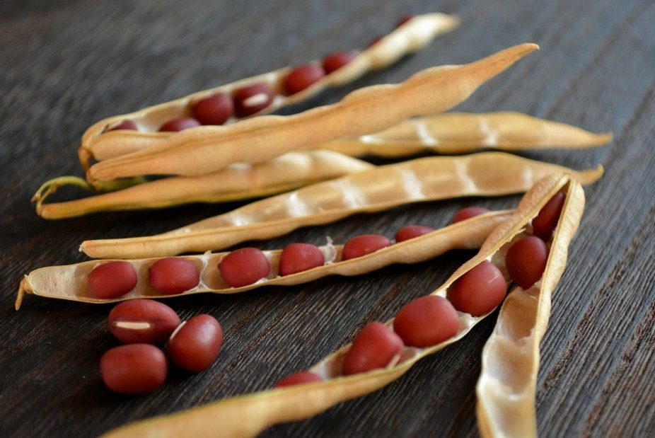 小豆さや|暮らしのほとり舎