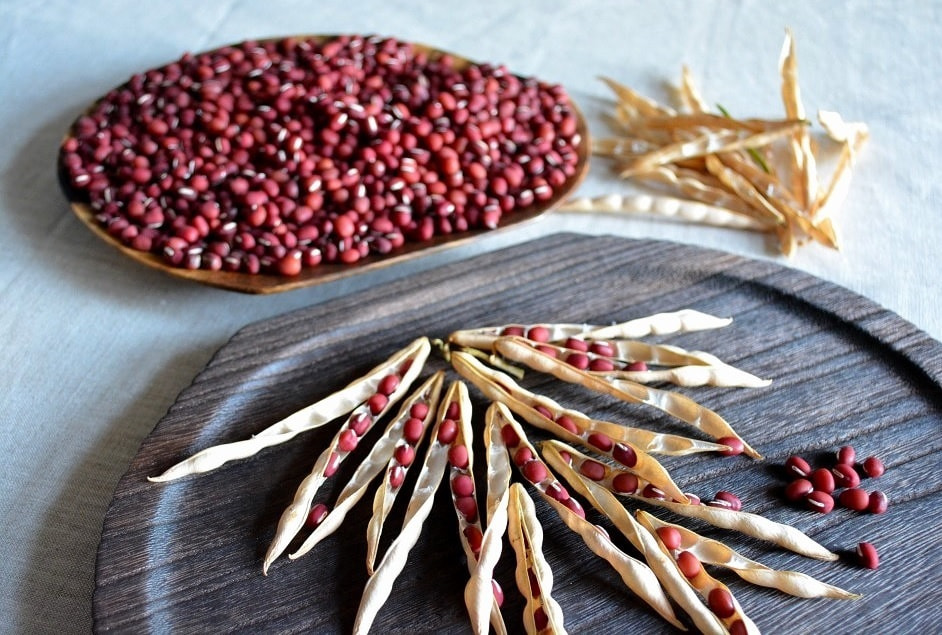 庭で栽培・収穫した小豆たち|暮らしのほとり舎