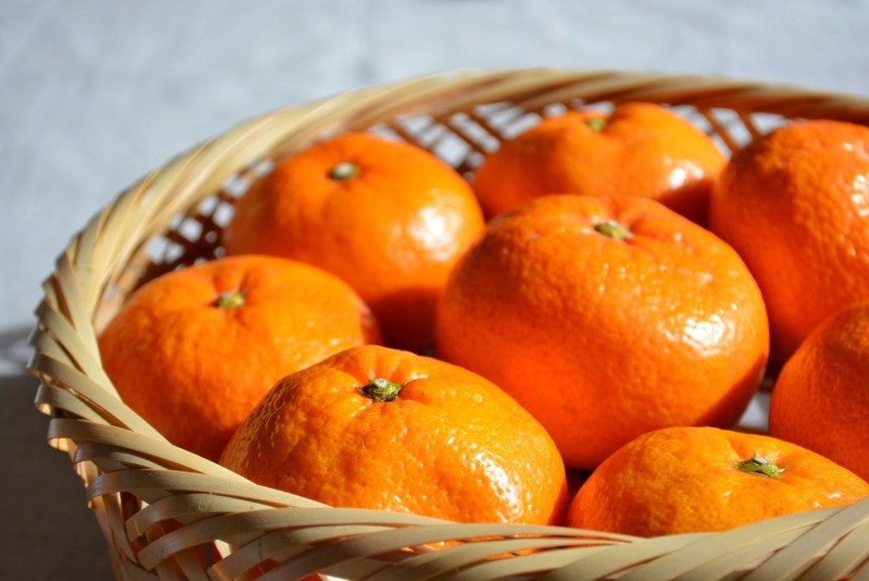 旬の味覚 ｜ 暮らしのほとり舎