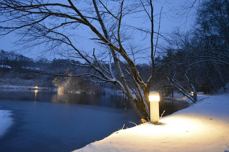 竜神池の冬の明かり (1) ｜ 暮らしのほとり舎
