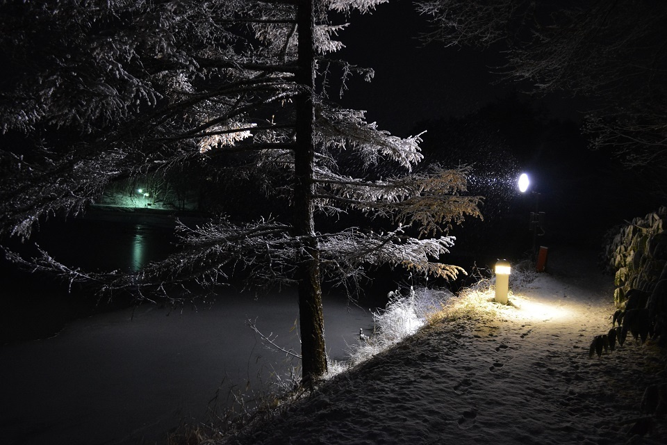 竜神池の冬の明かり (5) ｜ 暮らしのほとり舎