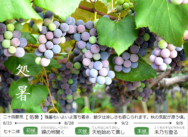 暮らしのほとり舎｜和ごよみと暮らしによりそう工芸品