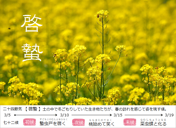 暮らしのほとり舎｜和ごよみと暮らしによりそう工芸品