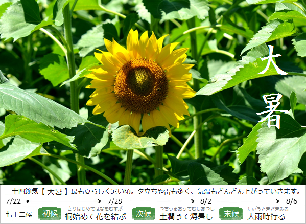 暮らしのほとり舎｜和ごよみと暮らしによりそう工芸品