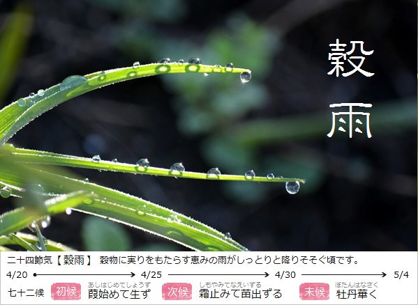 暮らしのほとり舎｜和ごよみと暮らしによりそう工芸品