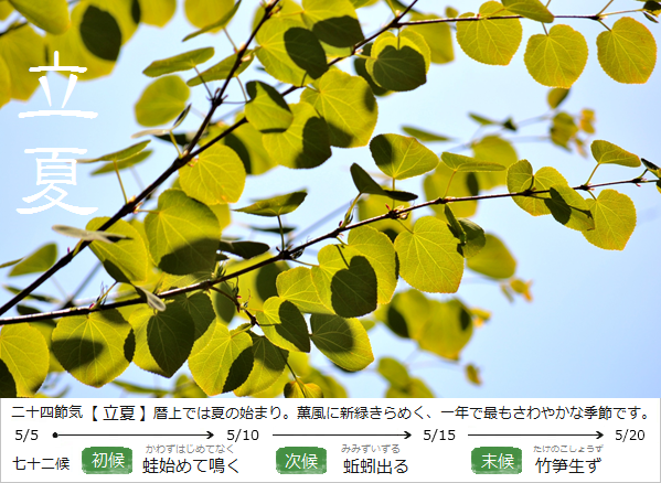 暮らしのほとり舎｜和ごよみと暮らしによりそう工芸品