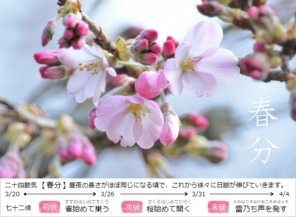 暮らしのほとり舎｜和ごよみと暮らしによりそう工芸品