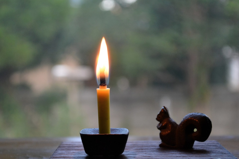 やさしくあたたかな炎が魅力の和ろうそく［菜の花ろうそく］