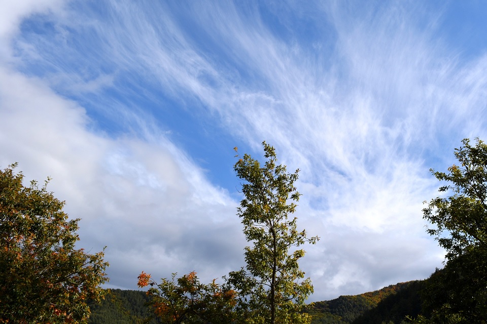 七十二候｜第四十六候「雷乃収声」のブログ記事へ