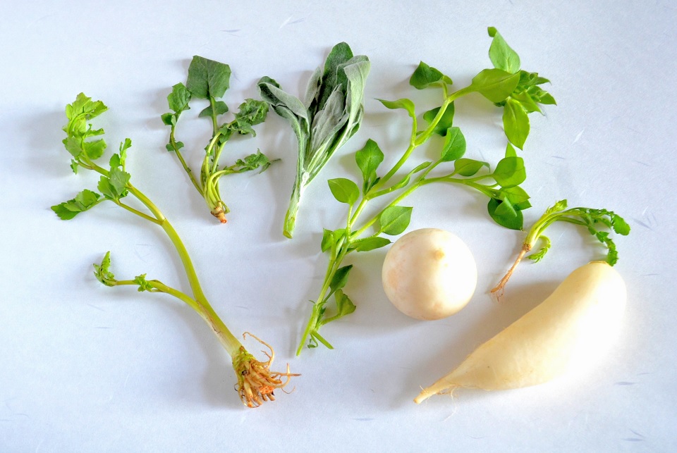 七十二候｜第六十七候「芹乃栄」のブログ記事へ